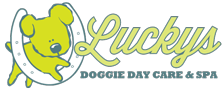 Lucky's Logo